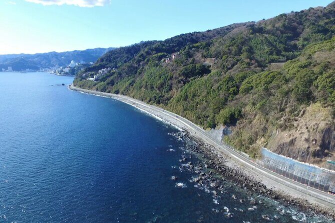 Izu Mount Omuro Day Tour: Atami Beach Line,Ropeway,Jogasaki Coast - The Day in Detail: What’s Included and What To Expect