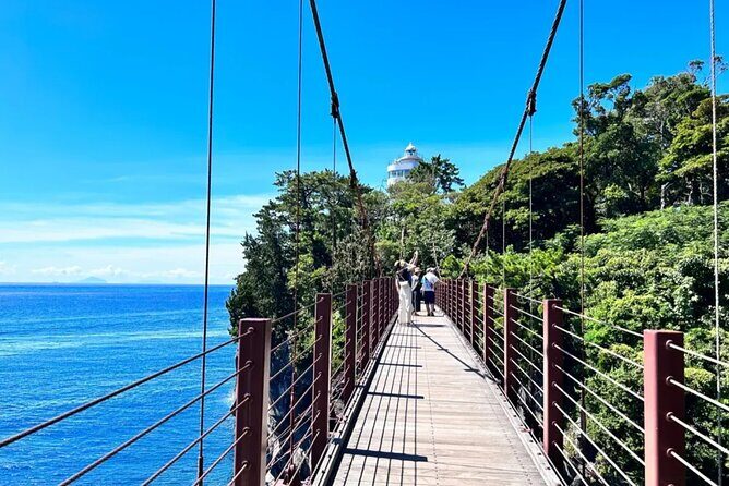 Izu Mount Omuro Day Tour: Atami Beach Line,Ropeway,Jogasaki Coast - Who is This Tour Best Suited For?
