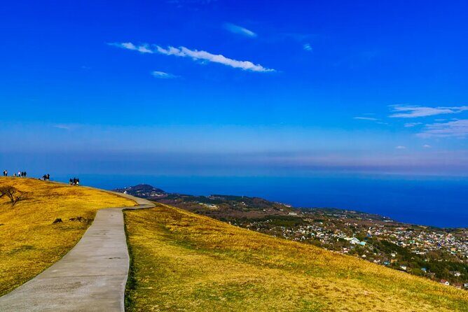 Izu Mount Omuro Day Tour: Atami Beach Line,Ropeway,Jogasaki Coast - Frequently Asked Questions