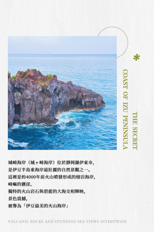 Izu Mount Omuro Day Trip: Stunning Atami Coastline/Ocean View Train Optional & Mount Omuro Ropeway & Jogasaki Coast Secret Adventure & Ito Marine Town Stroll - Atami’s shoreline, mostly through the window