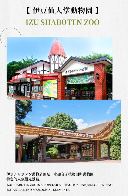 Izu Mount Omuro Day Trip: Stunning Atami Coastline/Ocean View Train Optional & Mount Omuro Ropeway & Jogasaki Coast Secret Adventure & Ito Marine Town Stroll - Who should book this Izu day trip?