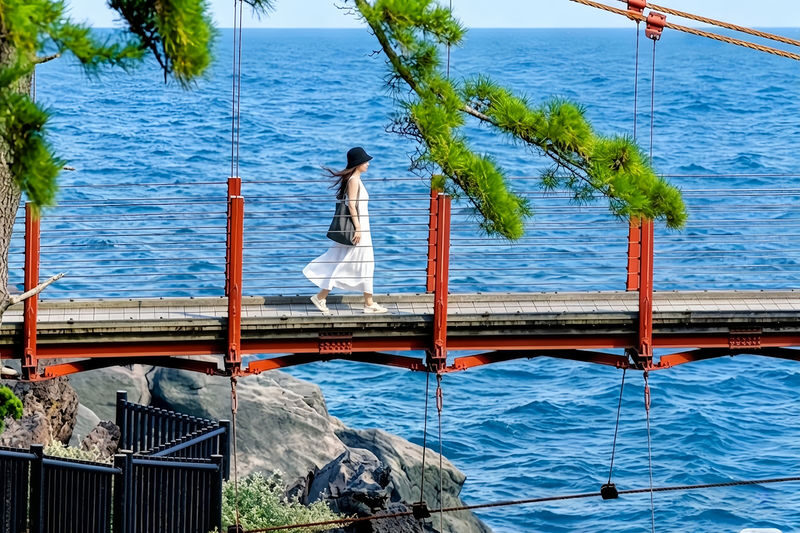 Izu Mt. Omuro & Atami Fireworks Small-Group Day Tour - Is $66.25 good value?