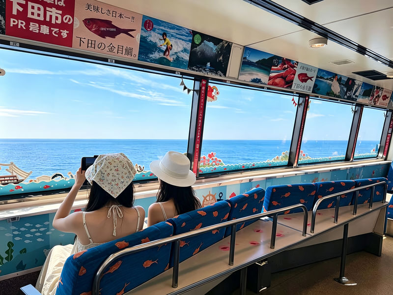 Izu: Mt. Omuro & Cactus Animal Park & Jogasaki Coast & Kadowaki Suspension Bridge Day Trip (Includes Sea View Train Experience) - What the price includes, and what it does not