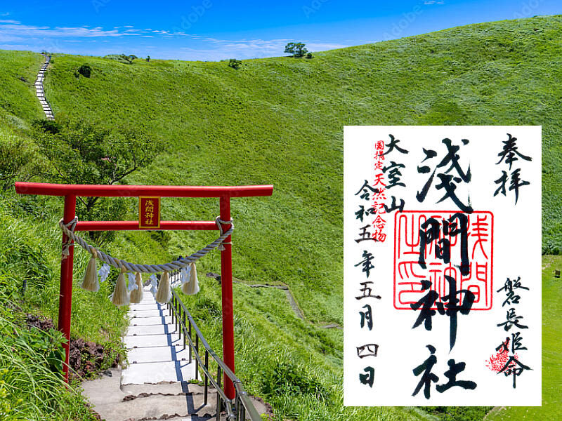 Izu Ocean View Day Trip: Jogasaki Coast & Ocean View Train & Mt. Omuro/Izu Cactus Zoo | Departure from Tokyo - The Izu ocean-view train, in a short but memorable stretch
