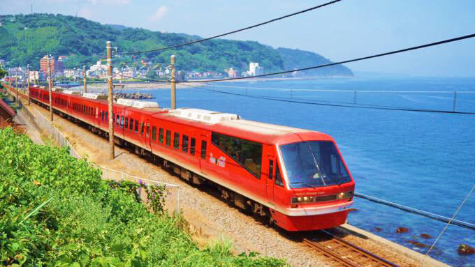 Izu Ocean View Day Trip: Jogasaki Coast & Ocean View Train & Mt. Omuro/Izu Cactus Zoo | Departure from Tokyo - Jogasaki Coast and the suspension bridge