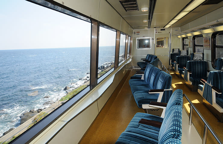 Izu Ocean View Day Trip: Jogasaki Coast & Ocean View Train & Mt. Omuro/Izu Cactus Zoo | Departure from Tokyo - What the price covers, and what it does not