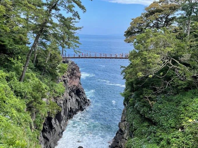 Izu Ocean View Day Trip: Jogasaki Coast & Ocean View Train & Mt. Omuro/Izu Cactus Zoo | Departure from Tokyo - The practical details that shape the day