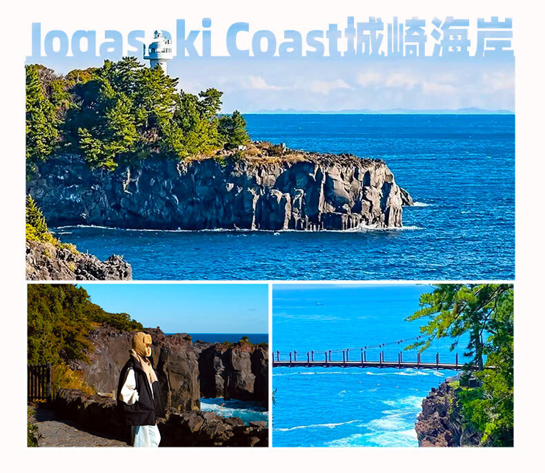 Izu Omuroyama and Jogasaki Coast Full-Day Small Group Experience - The long drive is the main price you pay