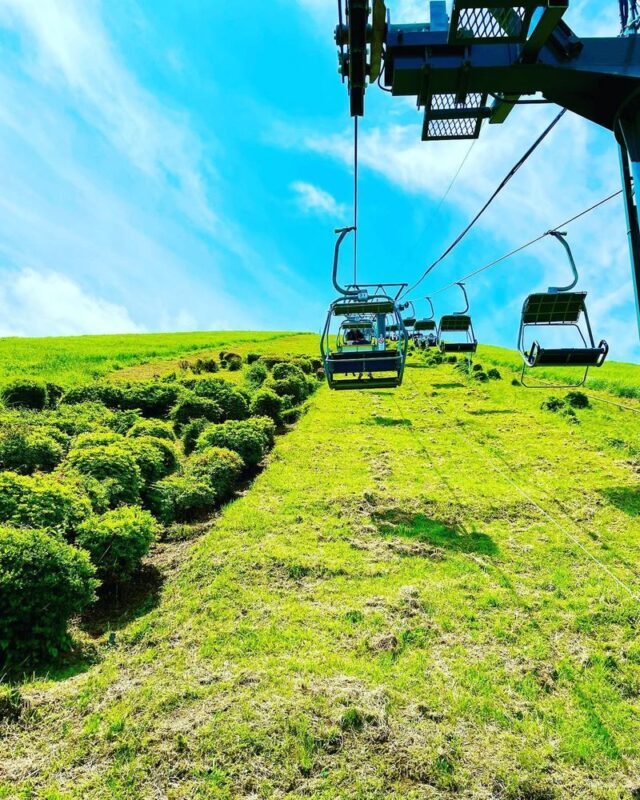 Izu Omuroyama and Jogasaki Coast Full-Day Small Group Experience - Is $63.15 good value?