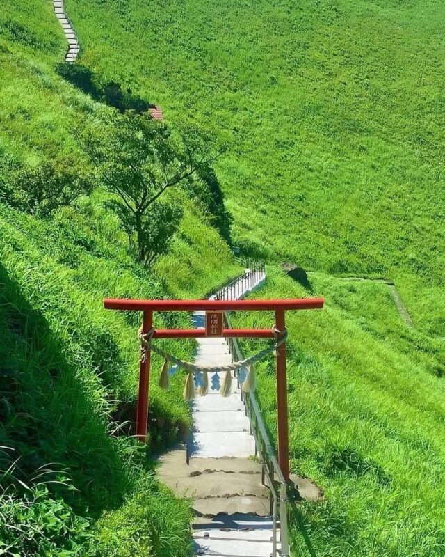 Izu Omuroyama and Jogasaki Coast Full-Day Small Group Experience - Who will get the most from this Izu day trip?