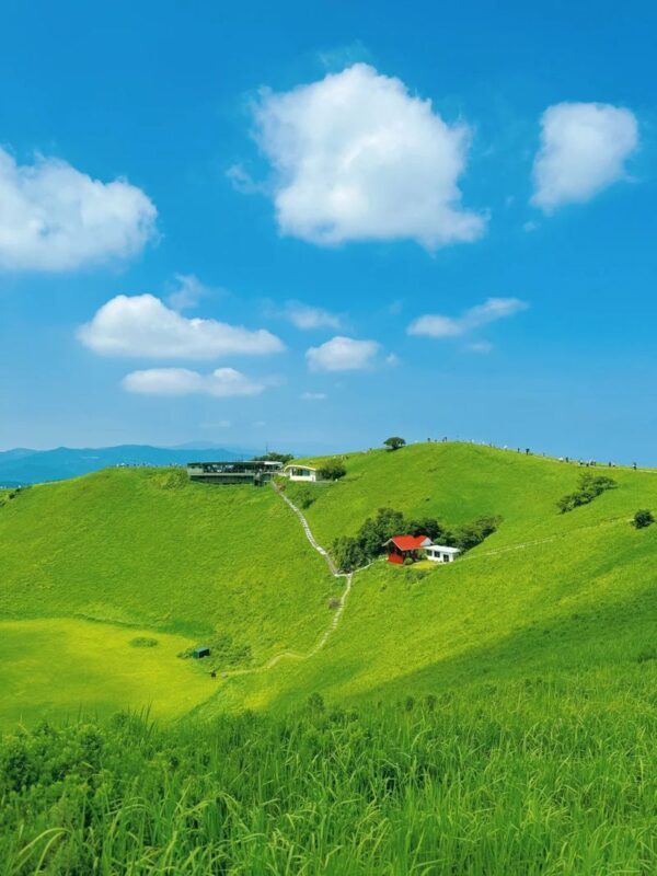 Izu Omuroyama and Jogasaki Coast Full-Day Small Group Experience - Book it if the scenery matters more than a leisurely pace