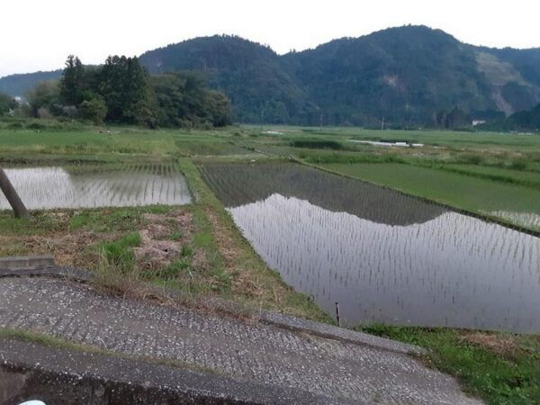 Izu Peninsula: Ike Village Experience - The Sum Up