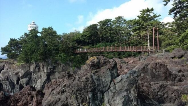 Izu Peninsula: Jogasaki Coast Experience - Full Description