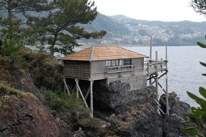Izu Peninsula: Jogasaki Coast Experience - Not Suitable For