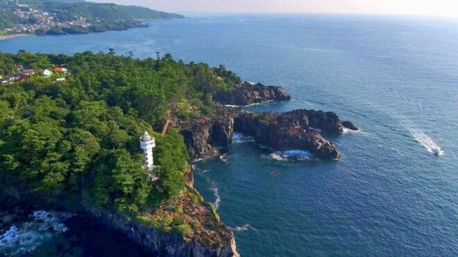 Izu Peninsula: Jogasaki Coast Experience - Directions