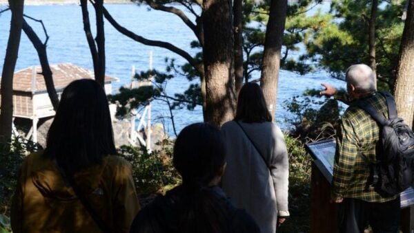 Izu Peninsula: Jogasaki Coast Experience - Tips for the Jogasaki Coast Experience