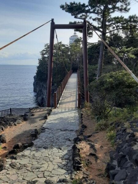 Izu Peninsula: Jogasaki Coast Experience - Common Questions