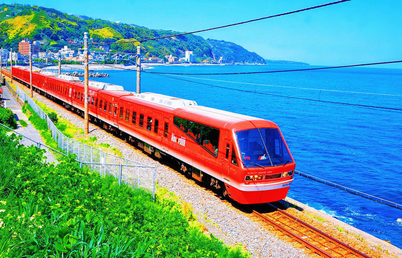Izu Sea View Train Experience - Mount Omuro Jogasaki Coast Volcanic Seascape Day Trip (Departing from Tokyo) - Key points to know