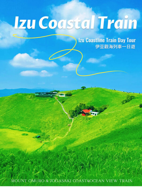 Izu Sea View Train Experience - Mount Omuro Jogasaki Coast Volcanic Seascape Day Trip (Departing from Tokyo) - Mount Omuro gives the day its big view