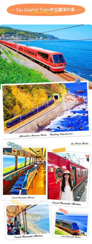 Izu Sea View Train Experience - Mount Omuro Jogasaki Coast Volcanic Seascape Day Trip (Departing from Tokyo) - Jogasaki Coast is the day’s best walk