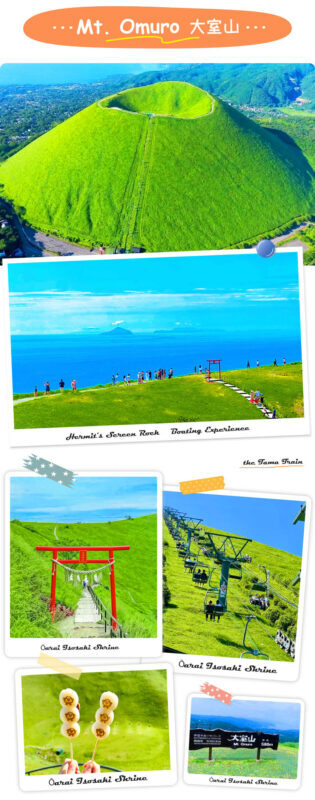 Izu Sea View Train Experience - Mount Omuro Jogasaki Coast Volcanic Seascape Day Trip (Departing from Tokyo) - Expect a long drive and a tightly managed schedule