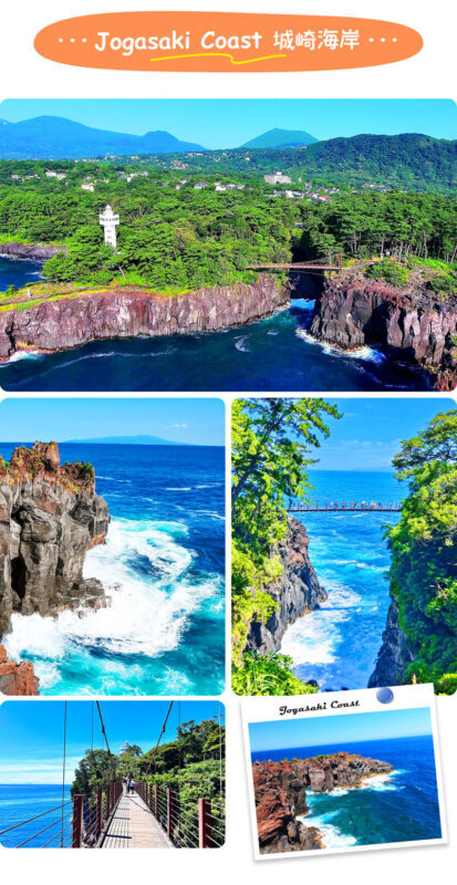 Izu Sea View Train Experience - Mount Omuro Jogasaki Coast Volcanic Seascape Day Trip (Departing from Tokyo) - Who should book this Izu day trip