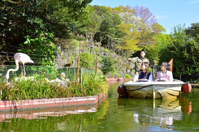 Izu Shaboten Zoo Ticket in Shizuoka - Start with the animals, then slow down among the cacti