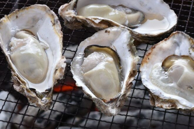 Izumo: 1 or 2 Day Car Rental - Additional Services