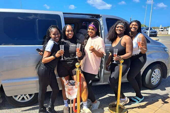 j vip taxi service sxm Birthday Pick up St. Maarten - Final Thoughts