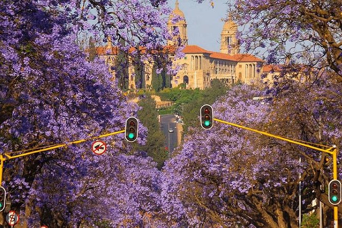 Jacaranda City Tour(Half Day) - Itinerary