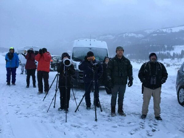 Jackson: 4-Day Grand Teton & Yellowstone Winter Tour - Common Questions
