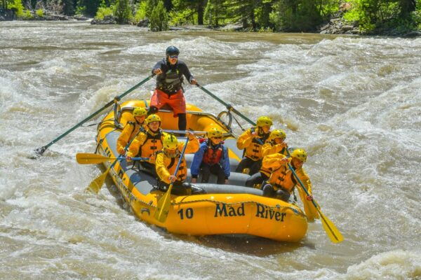 Jackson: 8-Mile Classic Boat Whitewater Rafting Trip - Customer Feedback and Ratings