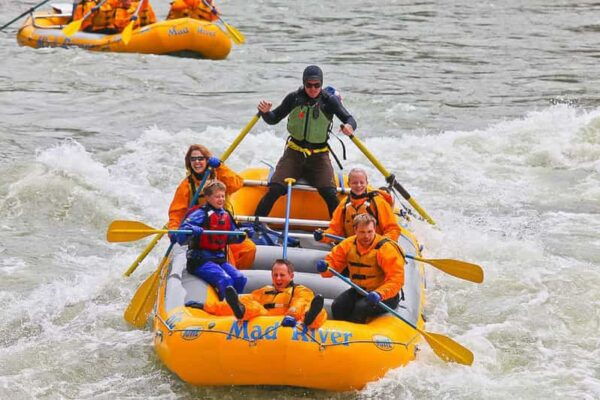 Jackson: 8-Mile Small-Boat Whitewater Rafting Trip - Transportation and Shuttle