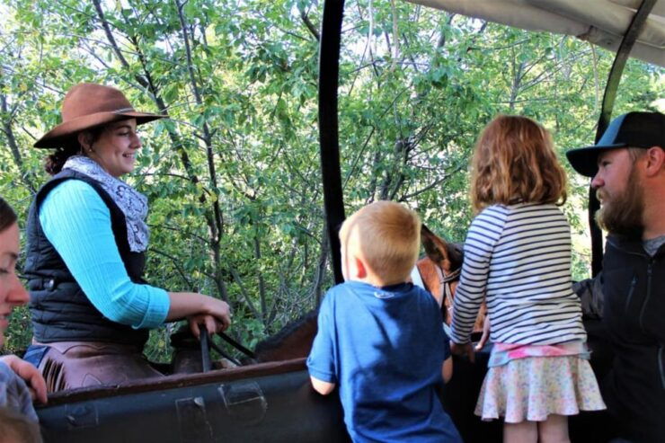Jackson: Chuck Wagon Cookout and Live Show - Experience Highlights