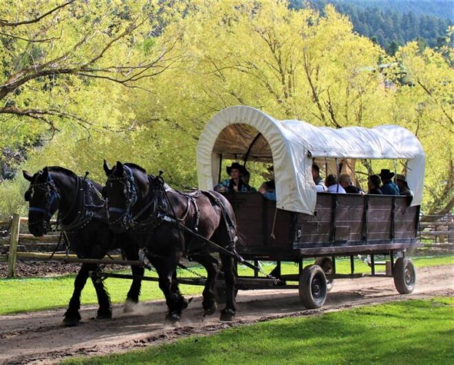 Jackson: Chuck Wagon Cookout and Live Show - Logistics and Meeting Point