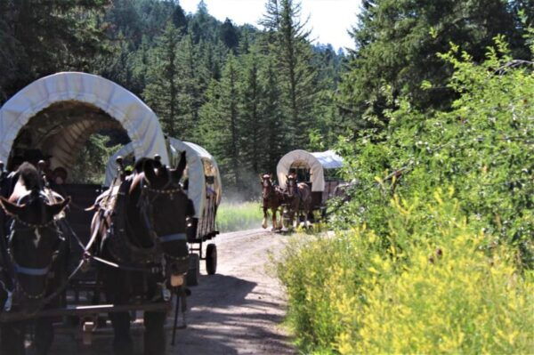 Jackson: Chuck Wagon Cookout and Live Show - Scenic Wagon Ride