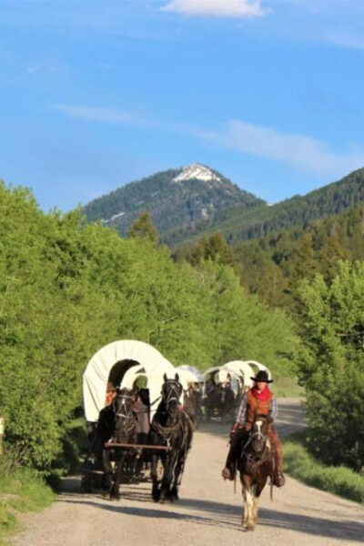 Jackson: Chuck Wagon Cookout and Live Show - Hearty Dutch Oven Dinner