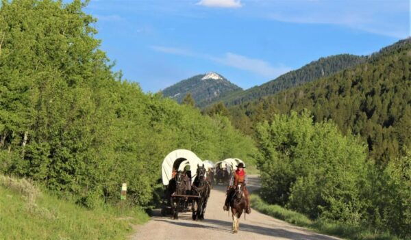 Jackson: Chuck Wagon Cookout and Live Show - Live Entertainment by Bar T 5 Band