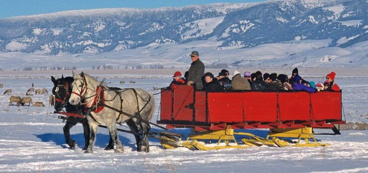 Jackson: Grand Teton and National Elk Refuge Winter Day Trip - Experience Highlights