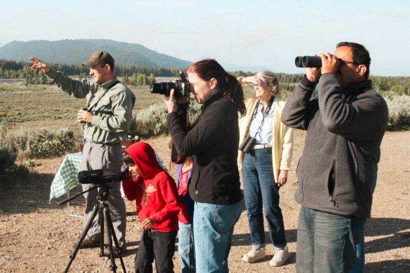 Jackson: Grand Teton National Park Guided Wildlife Tour - Final Words: Is It Worth It?
