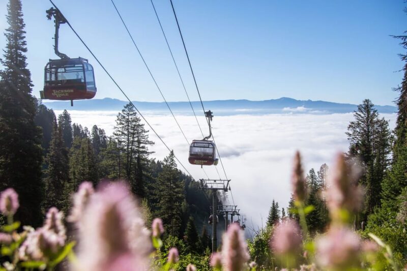 Jackson Hole: Aerial Tram and Gondolas Sightseeing - Who Will Love This Experience?