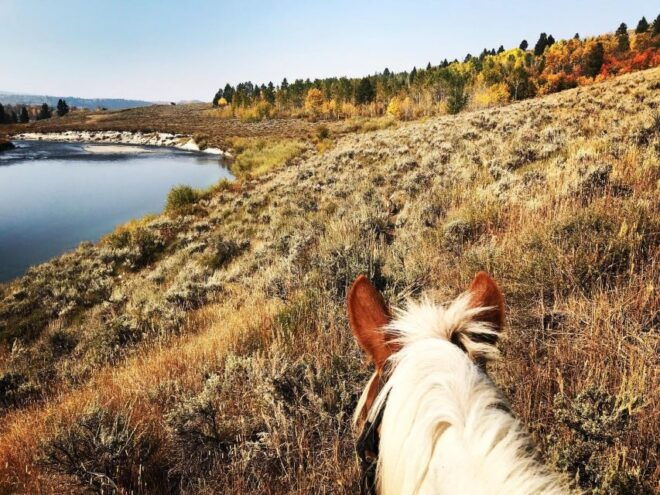 Jackson Hole: Bridger-Teton National Forest Horseback Ride - Inclusions