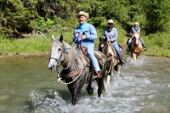 Jackson Hole: Bryan's Flat Guided Scenic Horseback Ride - Inclusions and Restrictions
