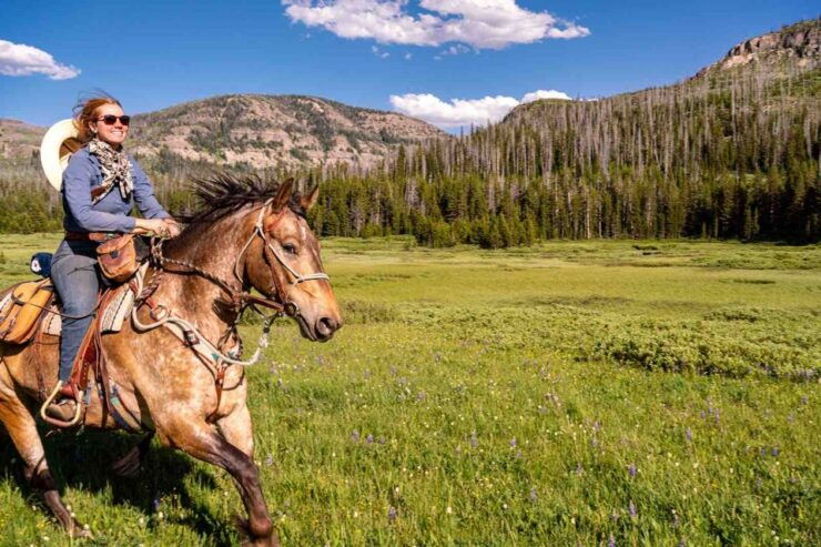 Jackson Hole: Dinner Cookout & Bridger-Teton Horseback Ride - Activity Details