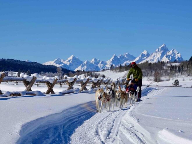 Jackson Hole: Dogsledding Tour With Hot Chocolate - Full Description