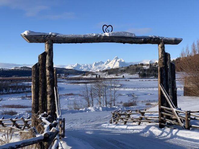 Jackson Hole: Grand Teton Full-Day Snowmobile Tour - Tour Details