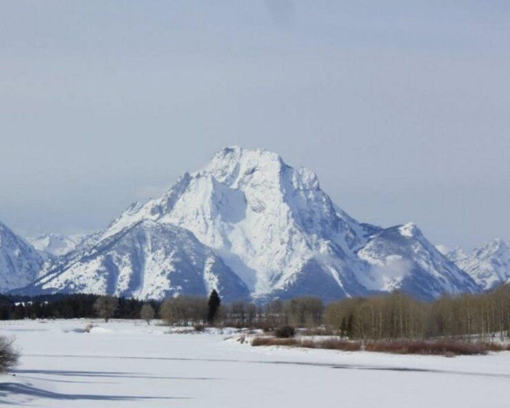 Jackson Hole : Grand Teton Winter Wildlife Tours For 1 To 4 - Tour Details