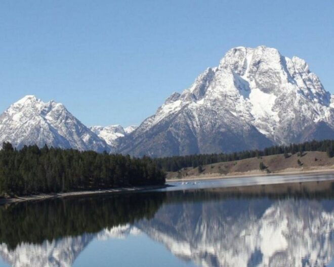Jackson Hole : Grand Teton Winter Wildlife Tours For 1 To 4 - Full Description