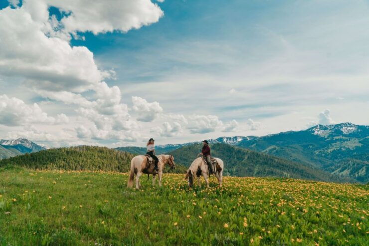 Jackson Hole: Moose Meadow Horseback Tour With Breakfast - Free Cancellation and Flexible Payment Options
