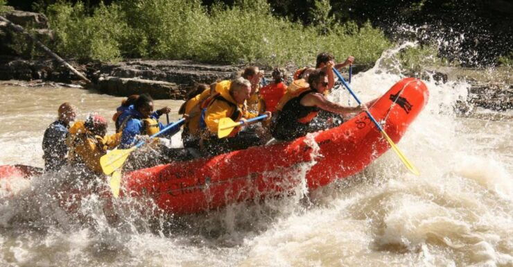 Jackson Hole: Snake River Whitewater Rafting Tour - Activity Details